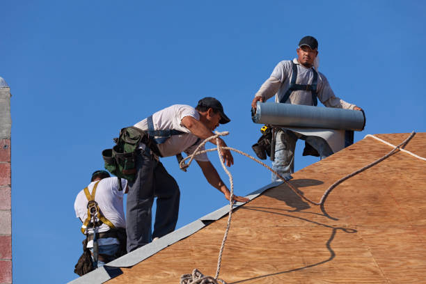 Best Commercial Roofing Services  in Fairfax, MN